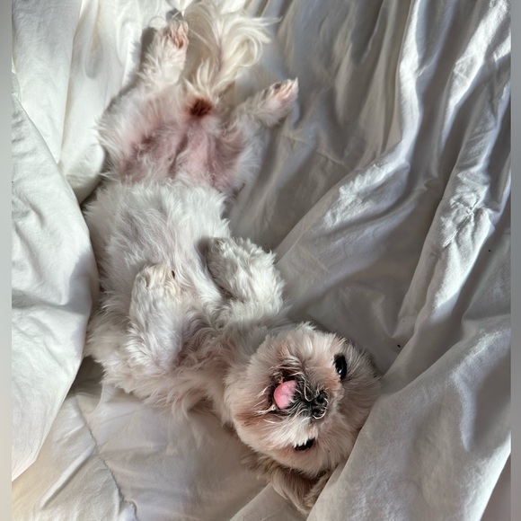 Meet your Posher, Linda - Picture 2 of 4